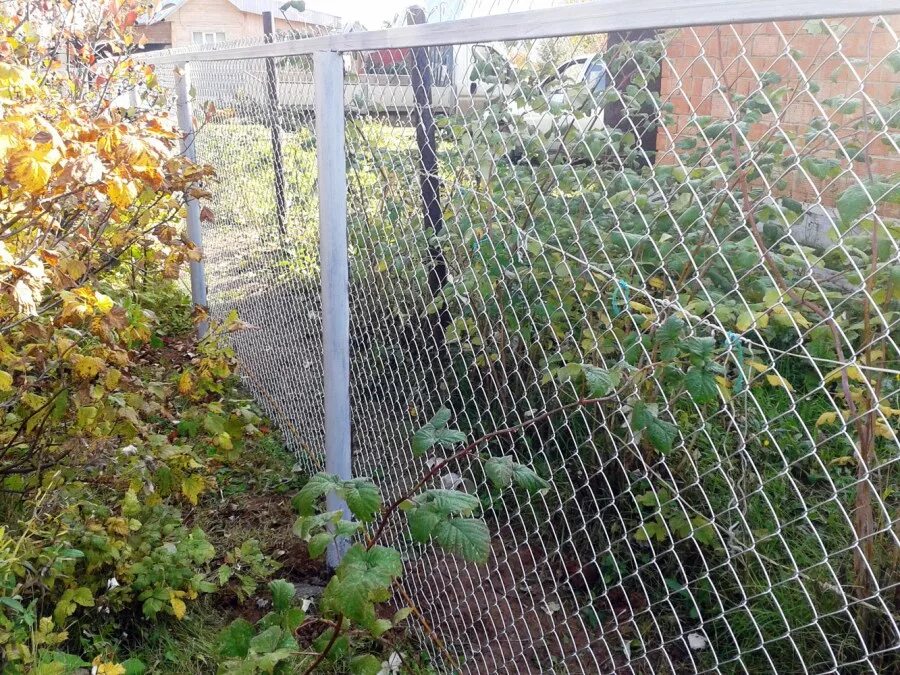 Сетка - рабица полимерная зеленая 50*50 толщ2,5 20 кв. Металлический забор из сетки рабицы. Забор сетка рабица на деревянных столбах. Сетка рябица или рабица. Сварка сетка рабица.