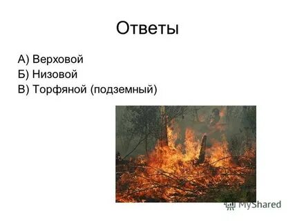 Лесные и торфяные пожары 7 класс обж