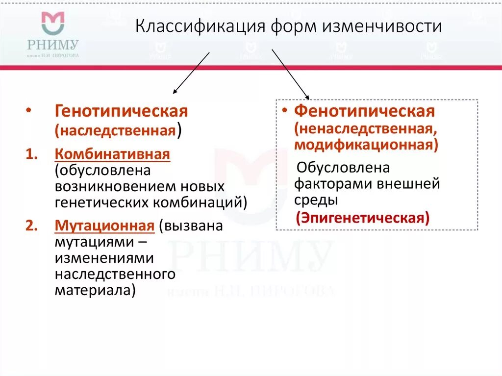 Изменчивость классификация форм изменчивости. Классификация форм изменчивости схема. Схема основные формы изменчивости генотипическая изменчивость. Классификация изменчивости таблица. Изменчивость признаков виды изменчивости 10 класс