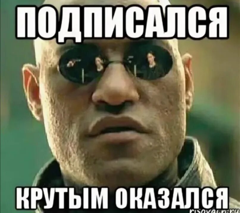 Я твоя подпишется. Подписался крутым оказался. Я подписался. Подпишись на меня. Картина Подпишись пж.