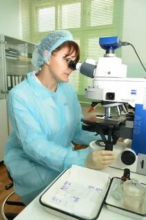 Работа мвл