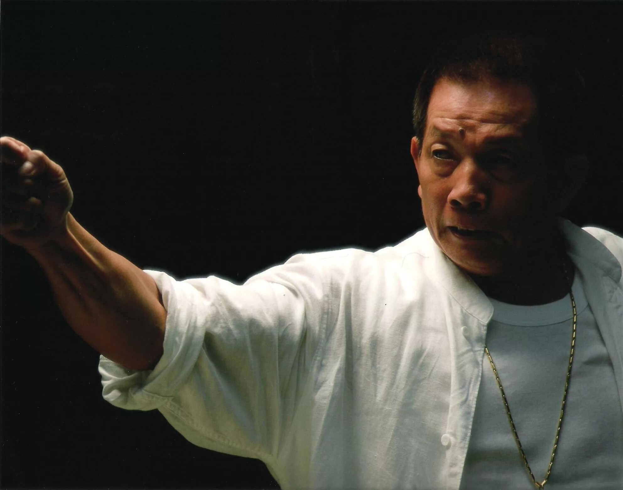 варвара маримонян карате. дастин нгуен сериал воин. владеет боевыми искусствами. владеет боевыми искусствами. скотт эдкинс ниндзя.