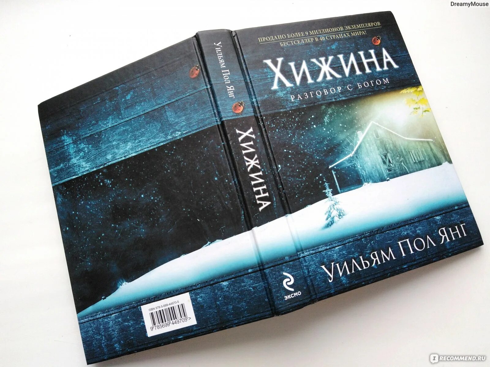 Хижина разговор с богом книга читать. Обложка книги хижина. Хижина книга пол янг. Хижина книга. Хижина разговор с богом книга.