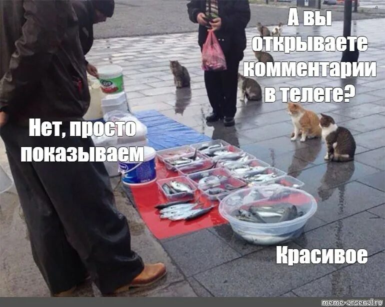 Рыбу продаете нет показываю красивое
