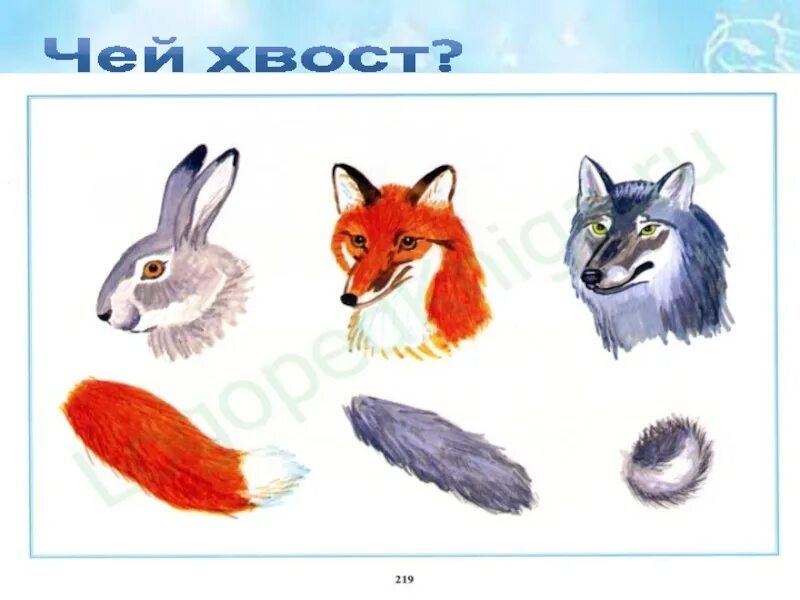 Чей хвост чья голова. Дидактическая игра чей хвост дикие животные. Чей хвост чья голова. Чей хвост для дошкольников. Чей хвост.