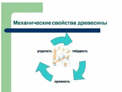 Чем отличается упругость древесины от ее прочности