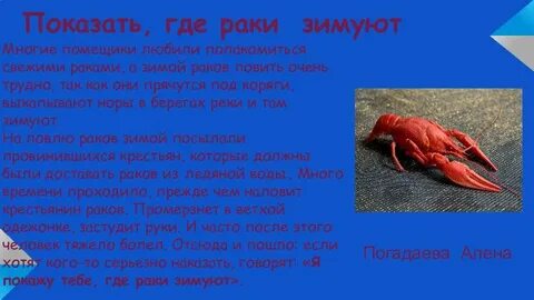 Куда рак