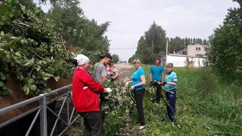 Погода великолукском районе