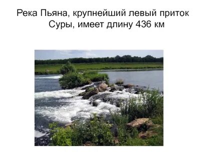 Река выпей