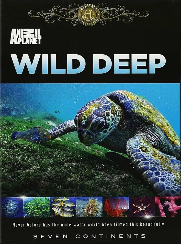 Wildlife planet. Энимал планет. DVD Планета животных 02. Animal Planet DVD. Энимал планет программа.