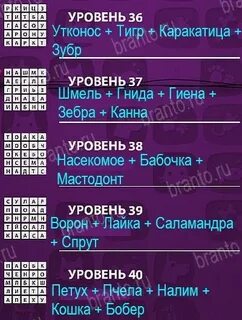 Ответы 36