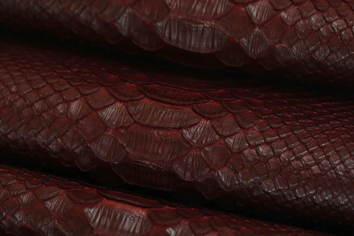 Python leather