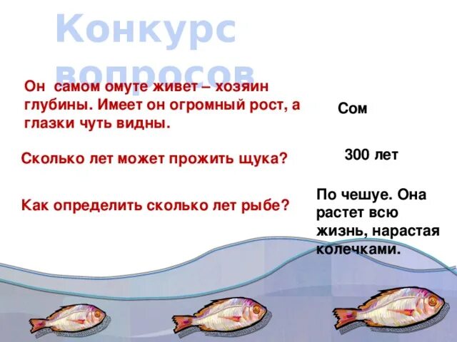 Сколько лет растет щука. Какая рыба долго живёт. Как вырастает щука за год. Рыба щюка сколько лет живёт.