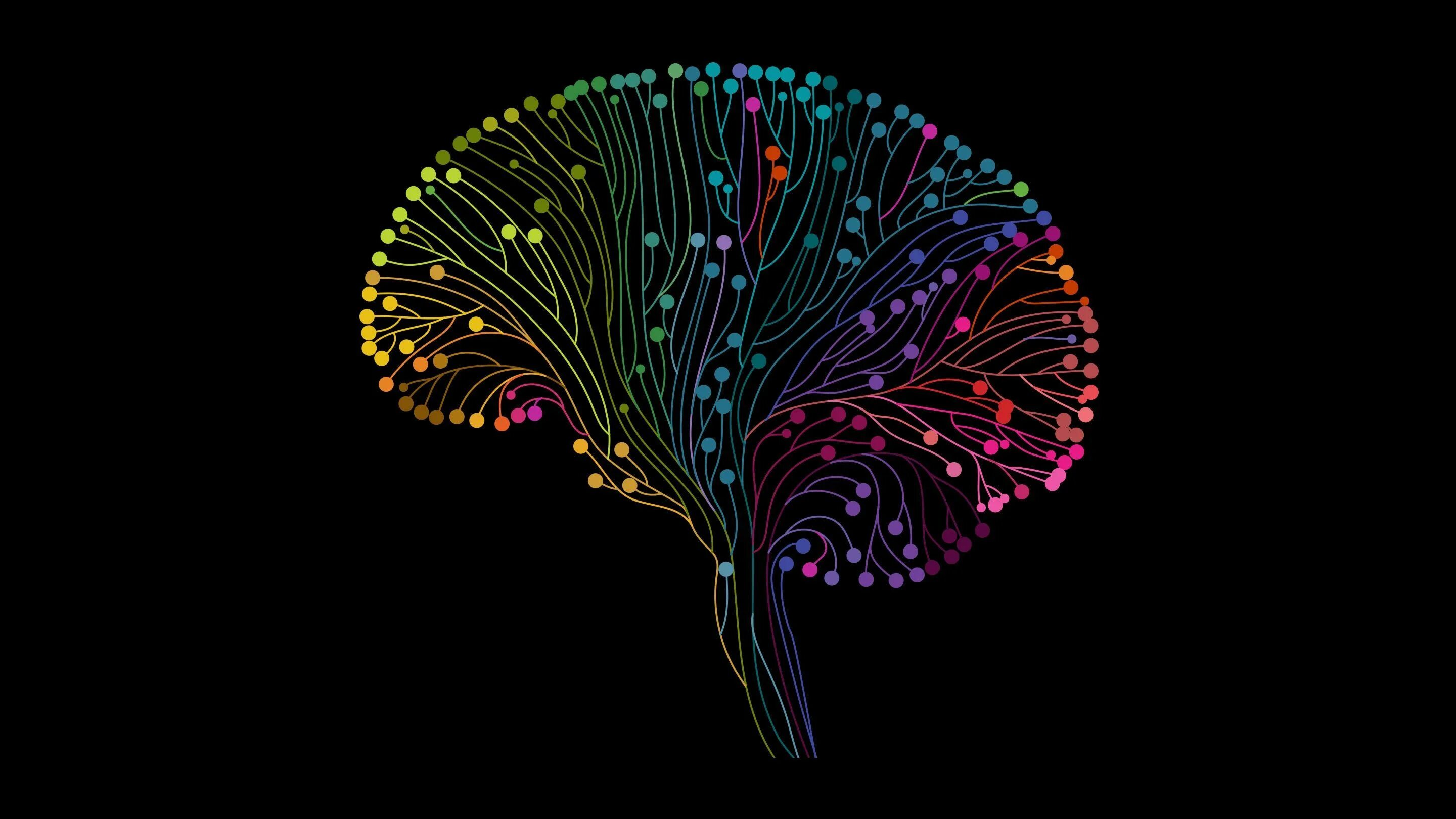 Colored brains