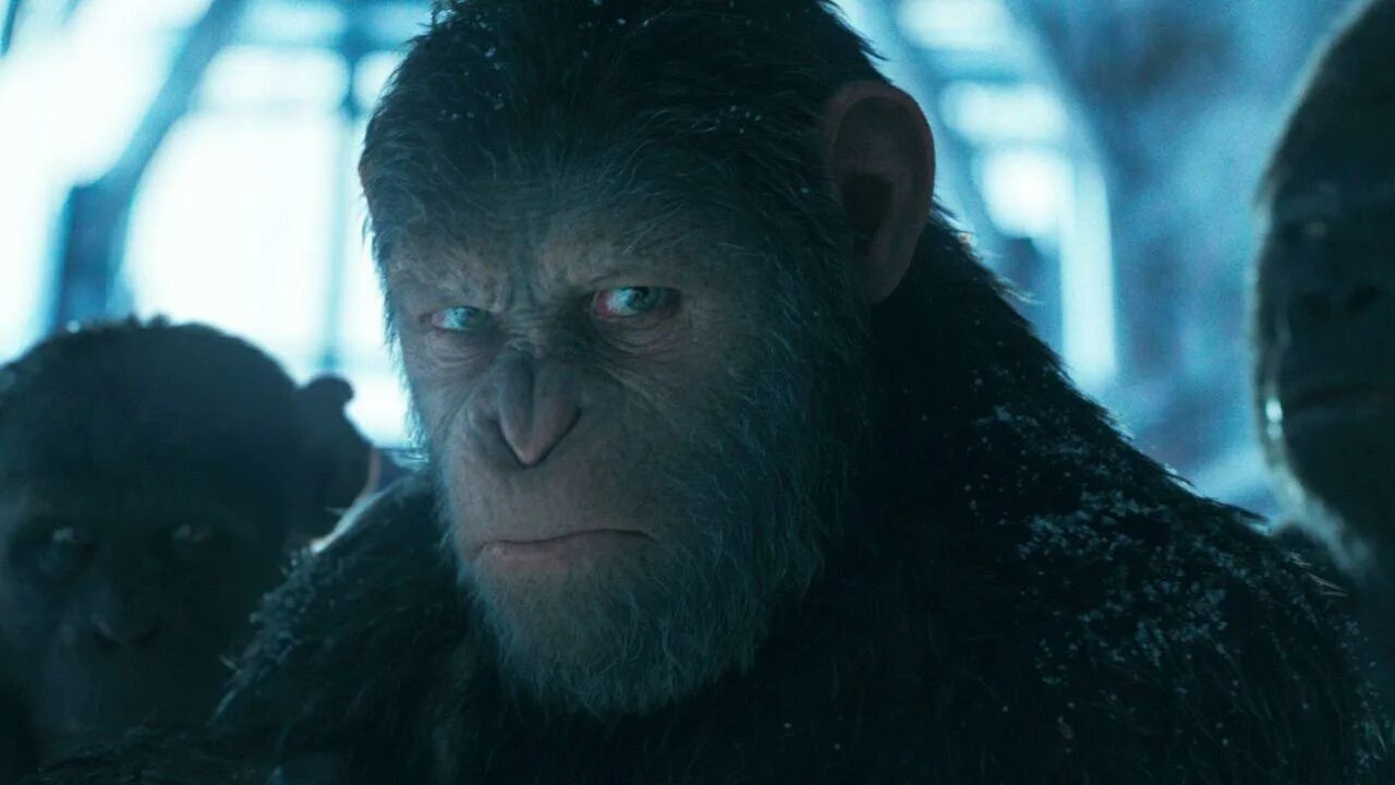 Часть обезьян 4. Коба Планета обезьян актер. Коба Планета обезьян фото. Bad Ape.