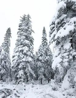 Запчасти снег тайга