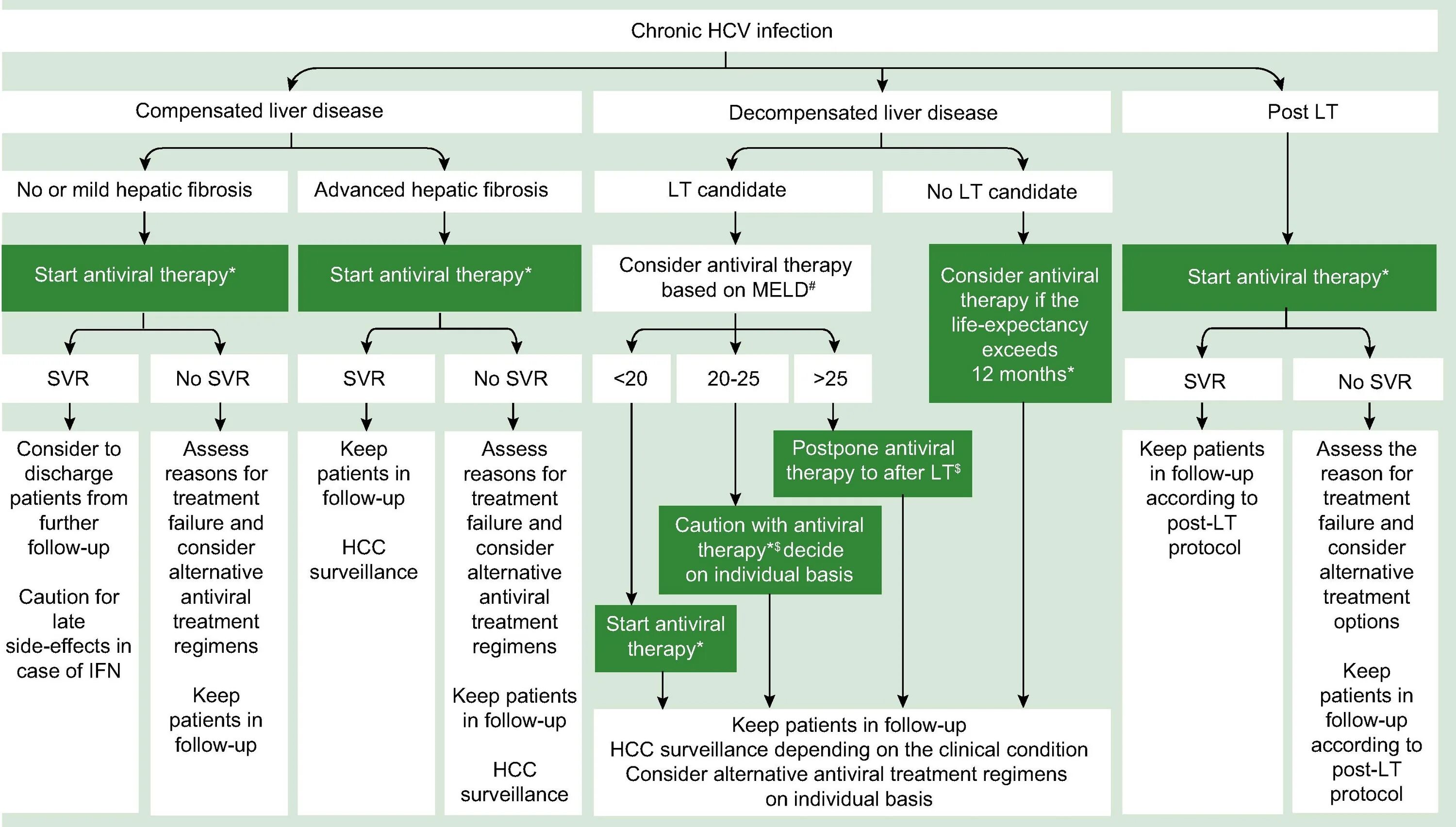 Chronic HCV infection. Chronic HCV infection Anti HCV. Патогенез HCV. HCV 1.1. Hcv 1 2