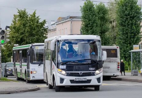 Колпино 364