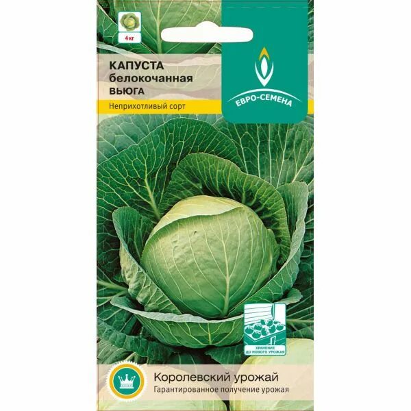 Капуста б/к вьюга 0,3г. Сорт капусты вьюга. Капуста БК. Капуста вьюга описание сорта