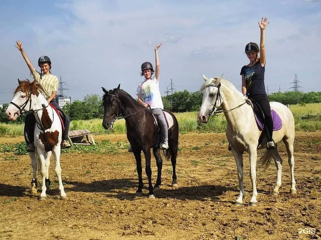 Конный клуб гермес. Конюшня Гермес Волгоград. Гермес Саратов конюшня. Конный клуб Гермес Саратов. Конно-спортивный клуб Гермес Саратов.