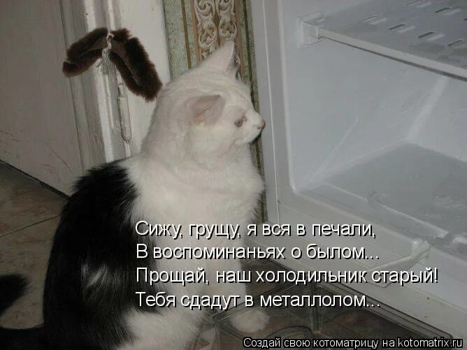 Сижу грущу