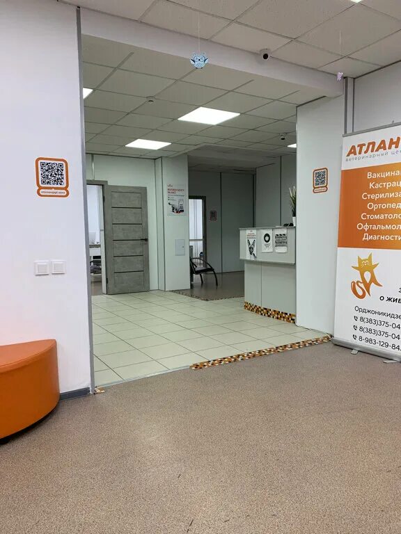 атлант новосибирск. матрас атлант панда. ветклиника атлант в новосибирске. Mattress alpha. новосибирская обувная мастерская.