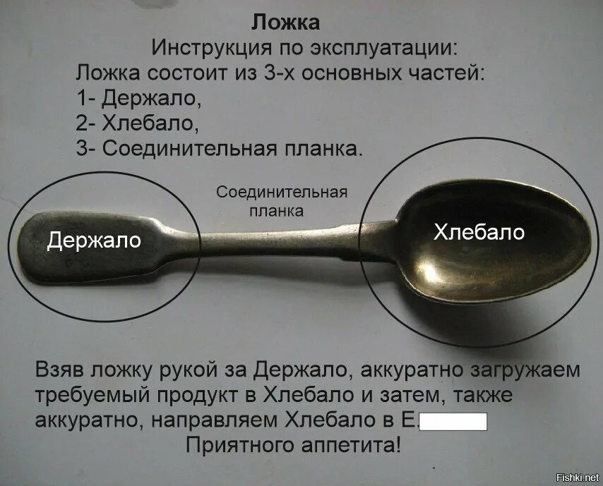 Части ложки названия. Ложка состоит из. Строение ложки. Инструкция по использованию ложки. Ложка столовая составляющие