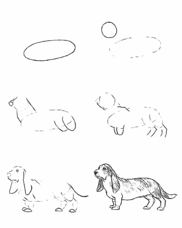Быстро и легко нарисовать собаку. Собака рисунок карандашом. Пошаговое рисование собаки. Рисунок собаки карандашом для срисовки. Рисунок собаки для срисовки.