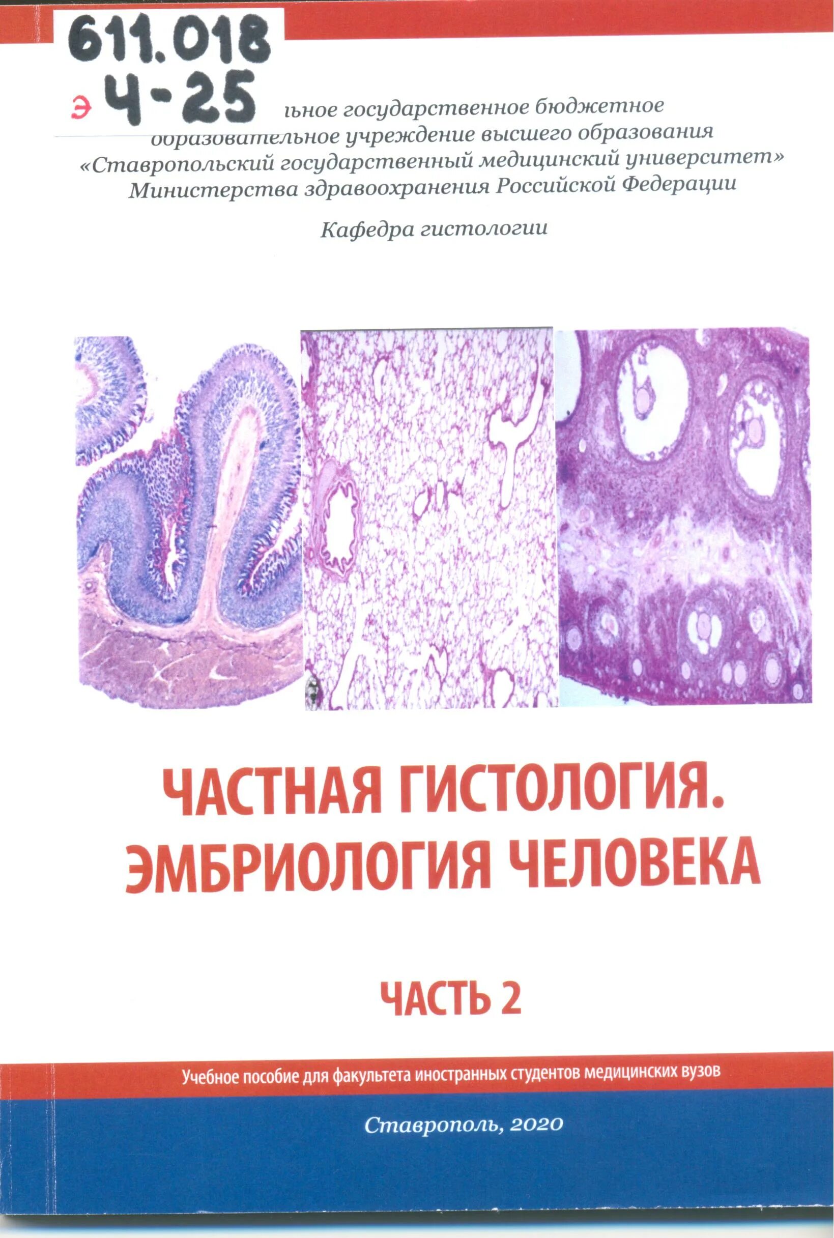 Гистология стгму. Частная гистология. частная гистология. эмбриология человека. часть №1 стгму.