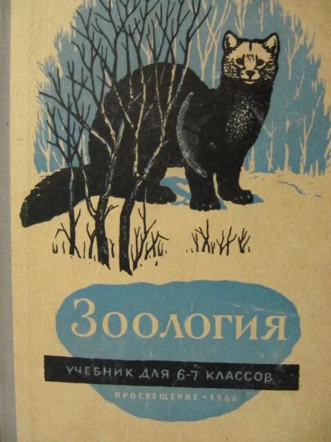 Книги про зоологию. Зоология учебник. Учебник по зоологии СССР. Учебник зоологии Советский. Советский учебник Зоология 6-7 класс.