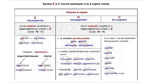 Какой корень 56