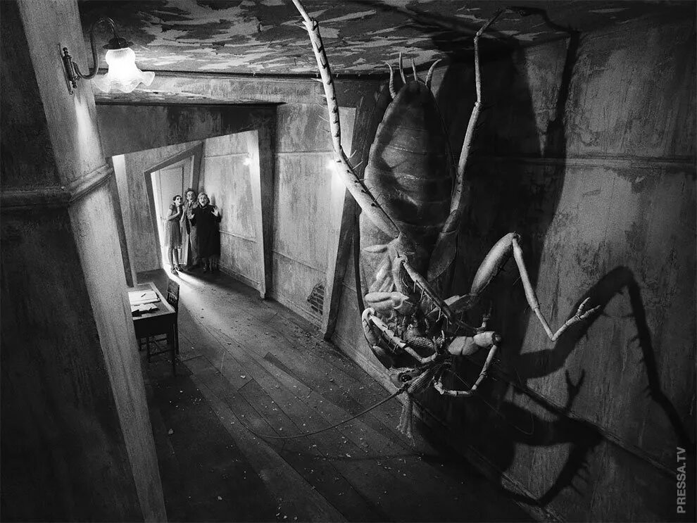 Кафка замза. Превращение фран кафка. Грегор замза. Кафка грегор замза. Грегор замза.