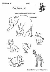 Find for my liking. Madagascar Worksheets for Kids.