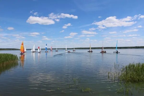 Железногорского водохранилища курской обл