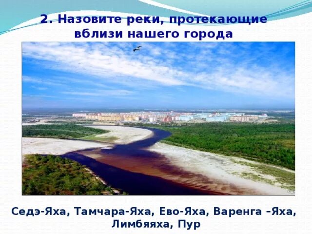 Оренбург какая река протекает в городе. Река Седэ Яха. Река Варенга Яха. Река ево Яха. Тамчара Яха.