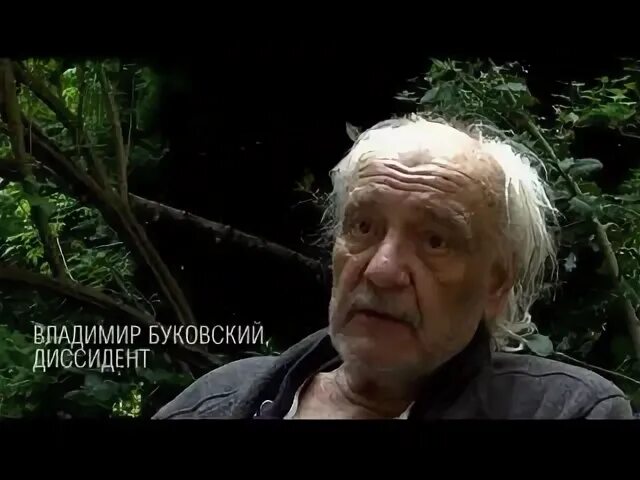 Буковский диссидент. Буковский диссидент