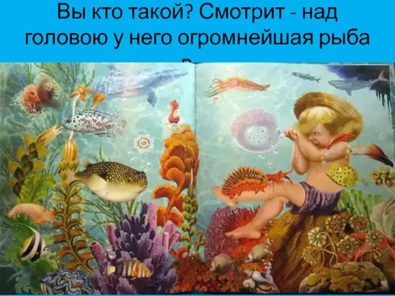 Рисунок к сказке м горького случай с евсейкой. Максим горький случай с евсейкой. Максим горький евсейка. Сказка максима горького случай с евсейкой. Иллюстрации к сказке горького случай с евсейкой.