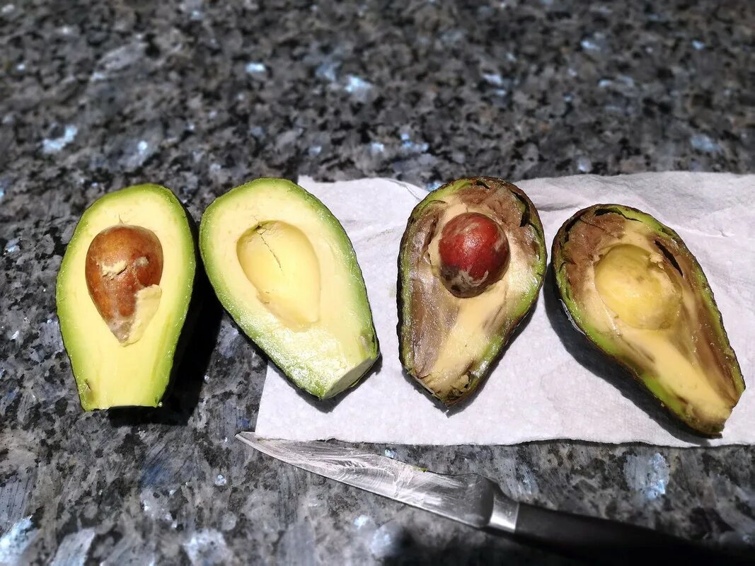 перезревший авокадо. испорченный авокадо. испортившийся авокадо. испортившийся авокадо. авокадо мякоть темная.