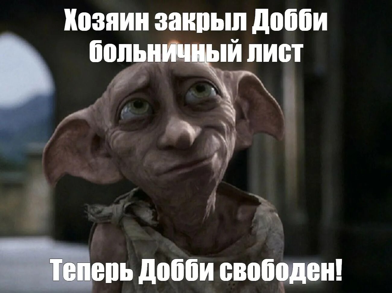 Добби подарили носок. Домовый эльф добби. хозяин добби свободен. добби теперь свободный эльф.