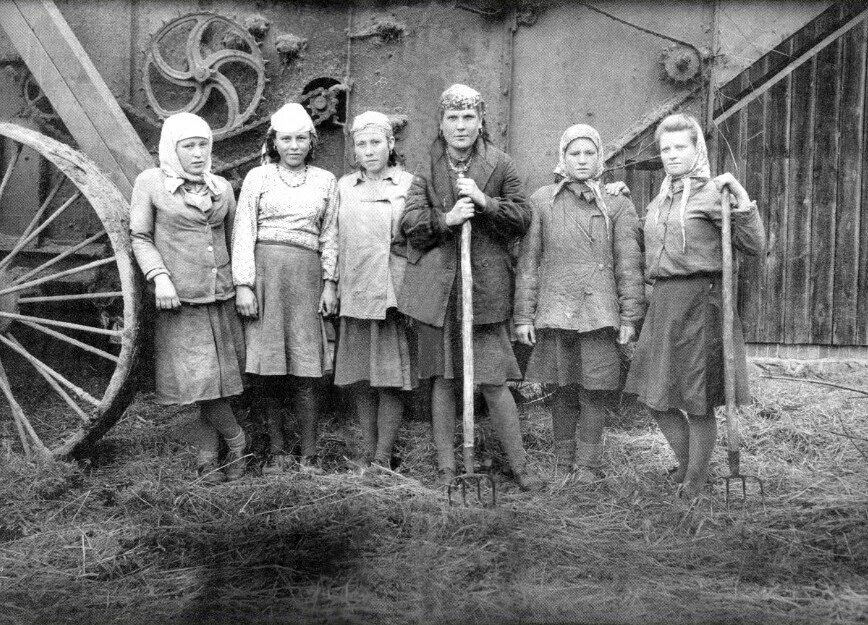 Семейная фотография, 1930 год, новая зеландия. Терек саарланд. Первые семеро. Шмидт с о семья. Летчики герои советского союза ляпидевский леваневский.
