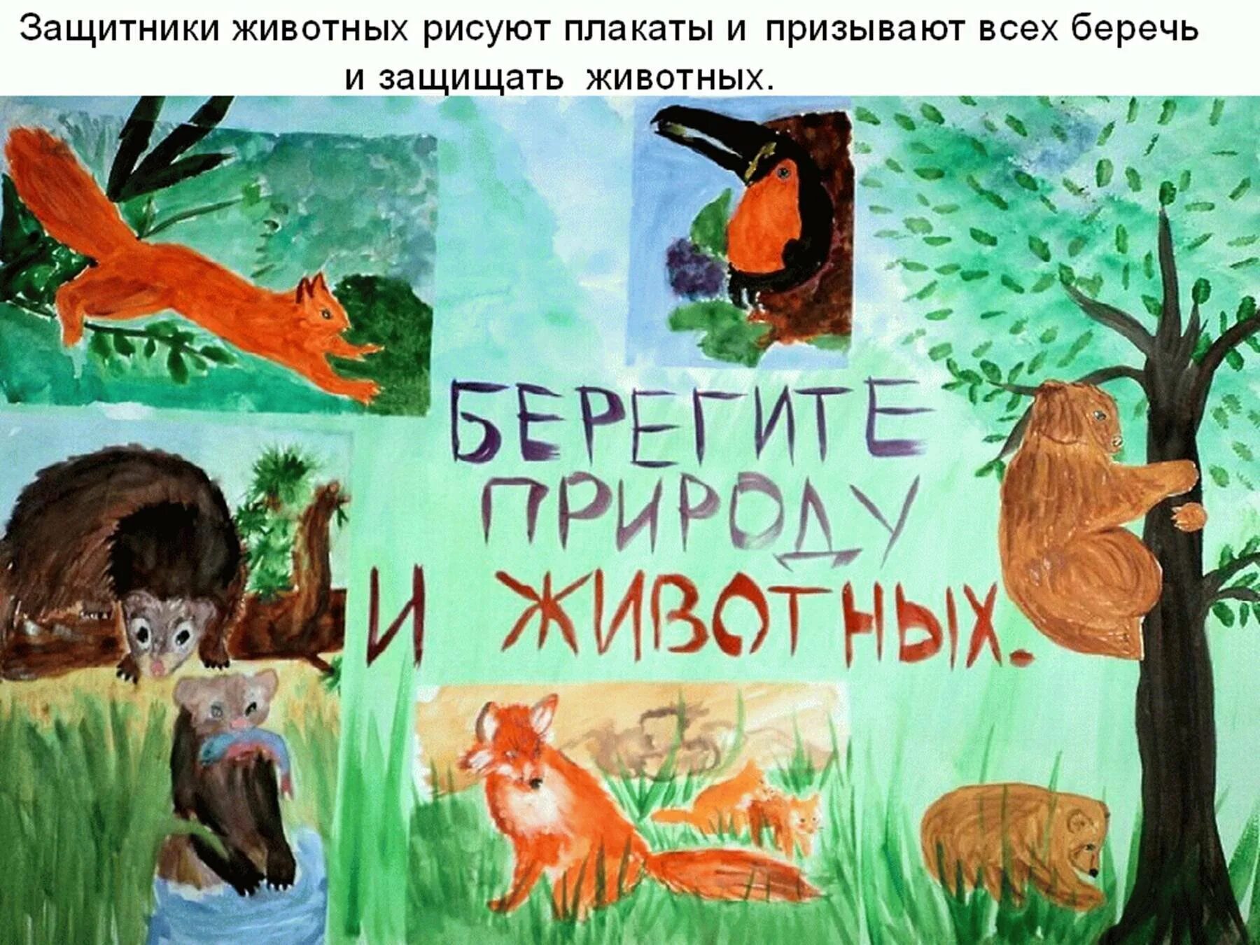 MarinaSerg - Всероссийский конкурс экологических рисунков