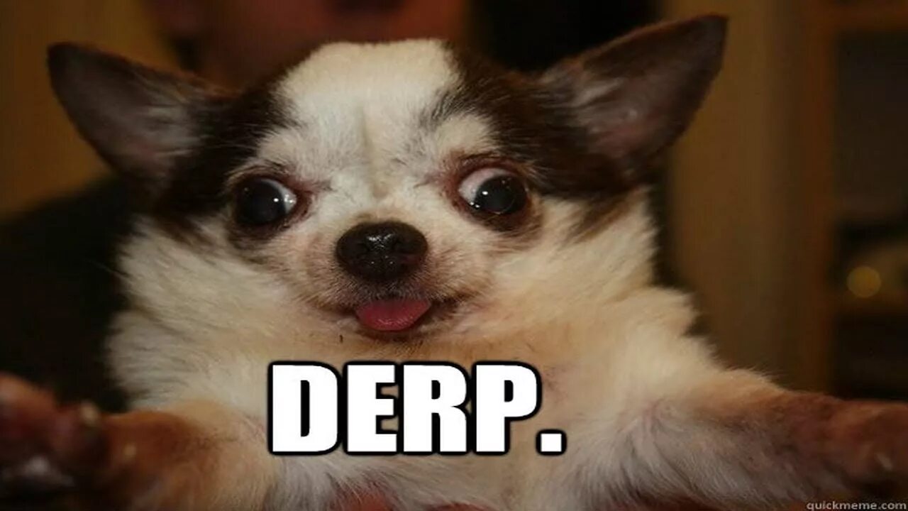 Oh me dog. Retarded Dog. Derp Dog. Мем cute Dog Oh no its retarded. Oh no its retarded оригинал.