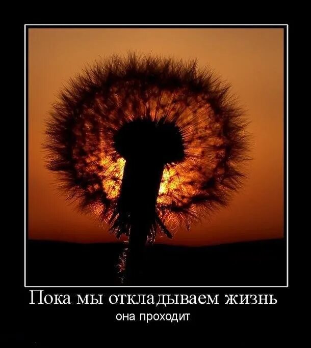 Пока мы следовали. Пока мы откладываем жизнь она проходит. демотиваторы жизненные. демотиваторы про жизнь. демотиваторы философские.