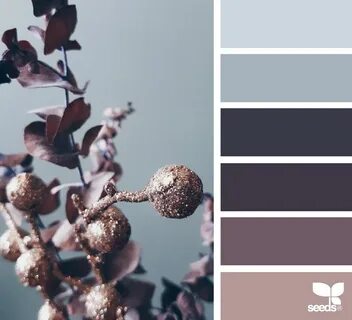 Цветы темно коричневого цвета