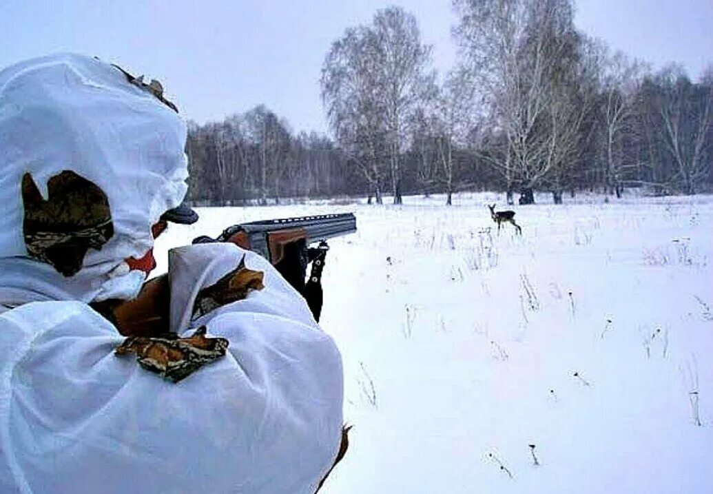 Охота на уставшей. Охота на косулю в Омской области 2021. Охота зимой. Охотник зимой.