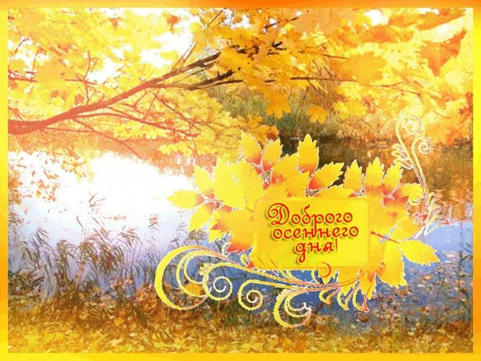 Добрый день осень. Доброго осеннего дня. Прекрасного лмннннго дня. Осенние открытки. Пожелание осеннего дня