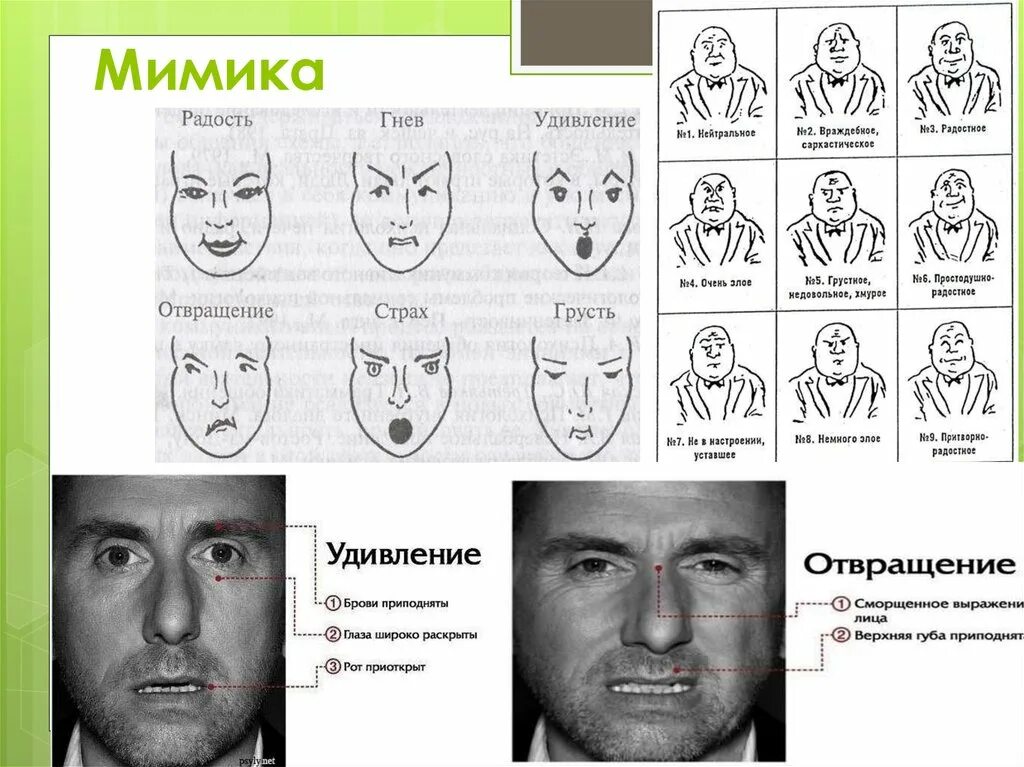 Характеристика мимики
