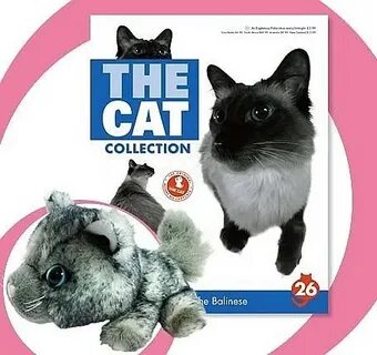 The cat collection