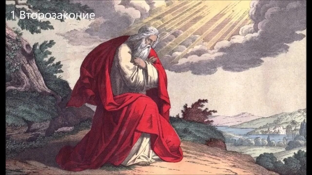 Древо пророков. Все ли пророки. Родословная пророков в исламе. Пророки израильского царства. Имена пророков.