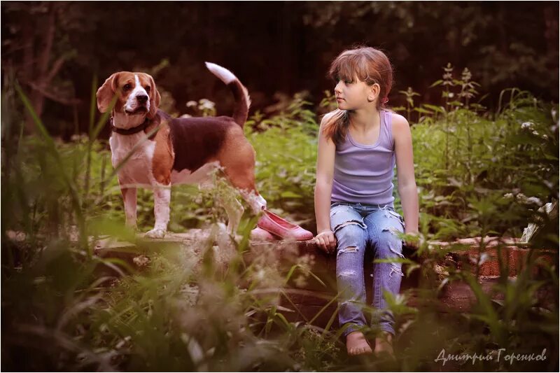 Девочка живет с собаками. Детская фотосессия с собакой. Фотосессия ребенка с собакой. Фотосессия с собаками и детьми летом.. Красивая фотосессия ребенок и собака.